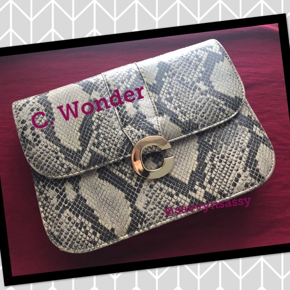 C. Wonder Handbags - C. Wonder Clutch/Crossbody